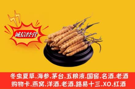 南湖区名酒回收冬虫夏草.jpg